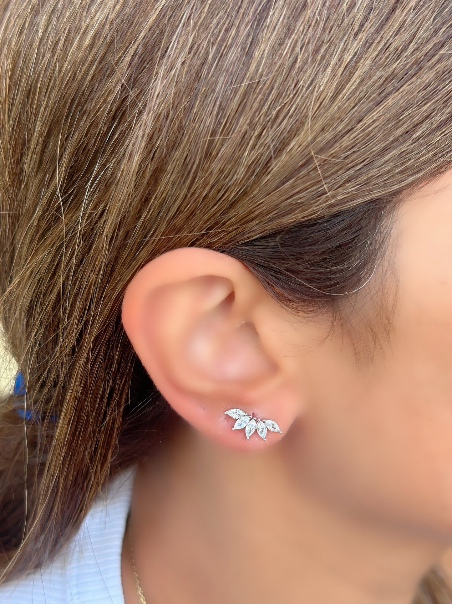 Classy Crown Design Earrings