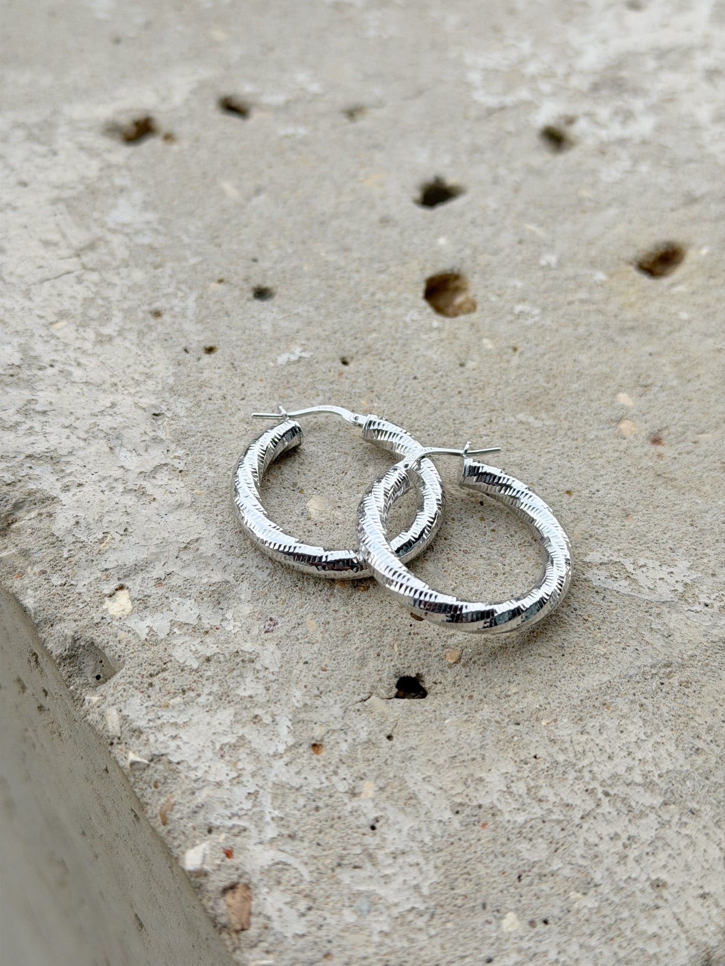 Twisted Hoop Earrings