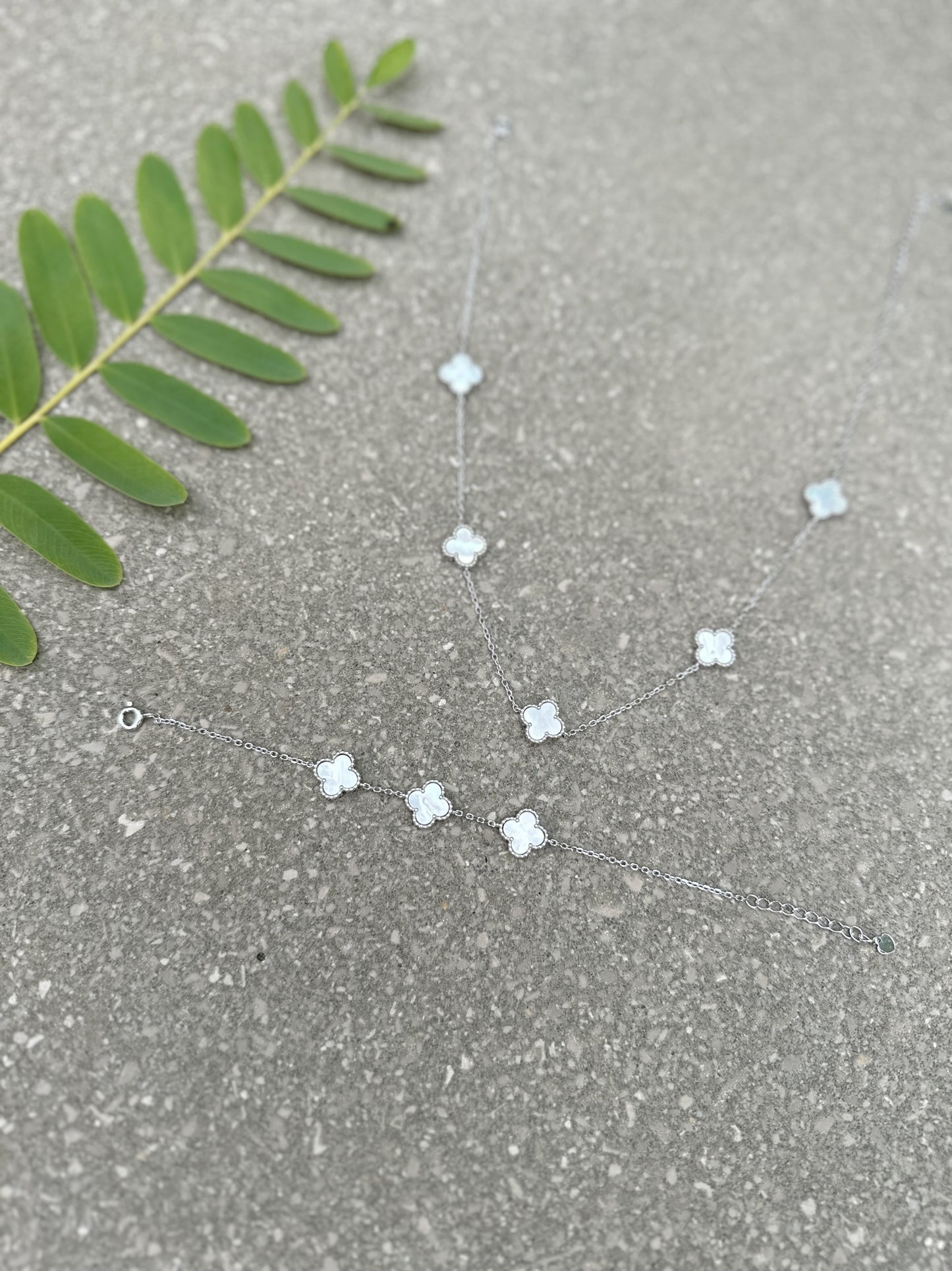 Medium Size Van Cleef White Color