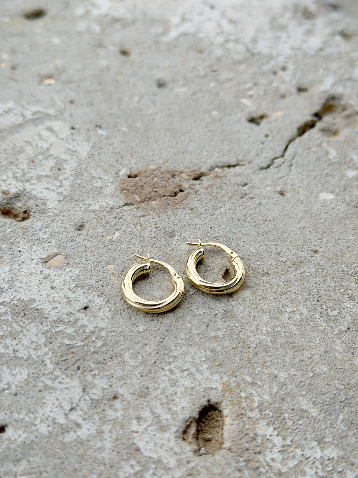 Hoop Design Earrings