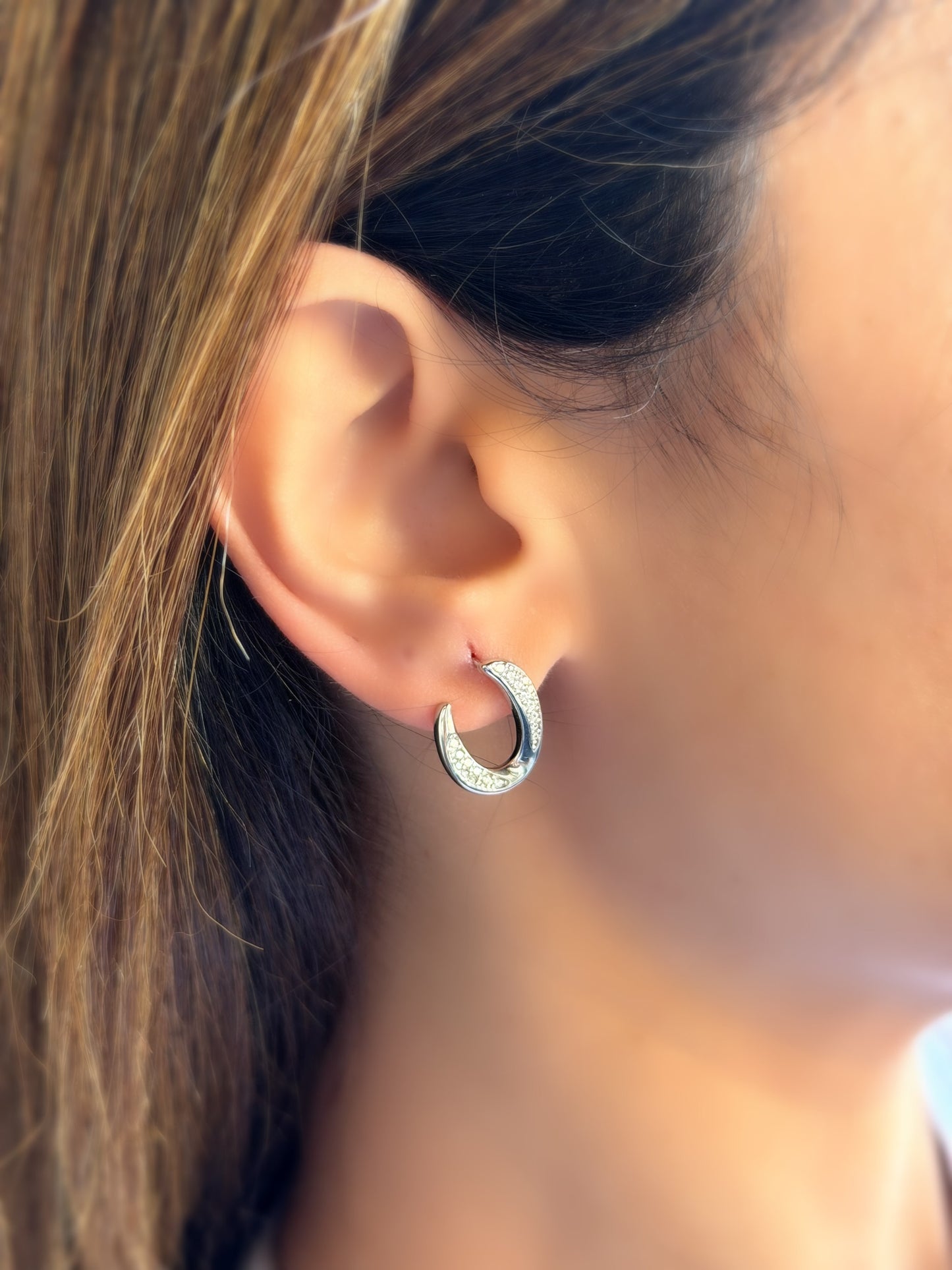 Oval Hoop Design Earrings