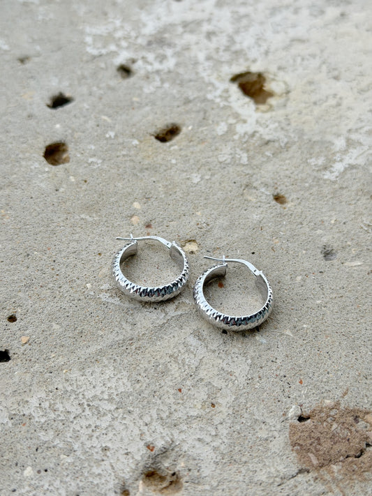 Hoop Design Earrings