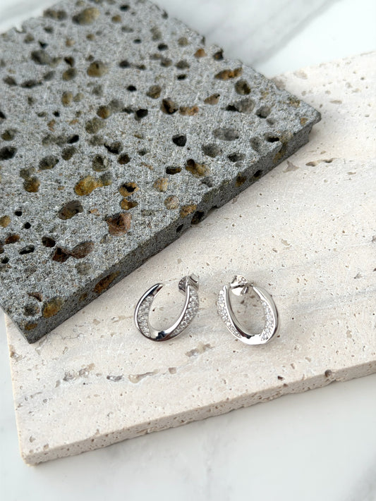 Oval Hoop Design Earrings