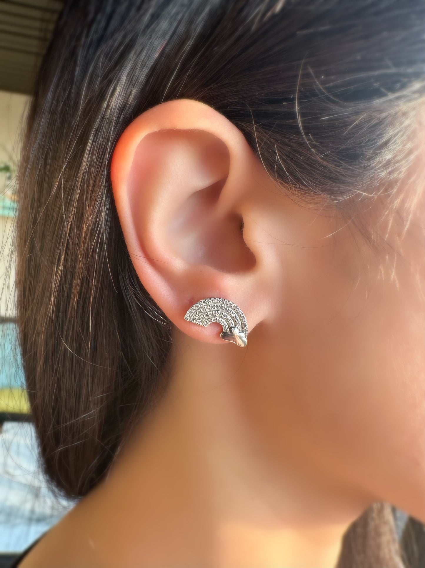 Rainbow Earrings